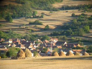 cycling-tours-transylvania-meadows-rural