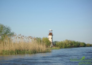 Wildtierbeobachtung romanian-tours-danube-delta-wildlife-bike&boat