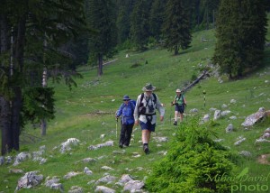 hiking-transylvania-carpathians-tours-3