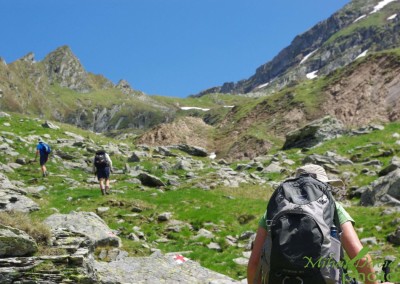 hiking-transylvania-carpathians-tours