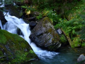 waterfall-nature-guide hiking tour mountains Karpaten Wandertour