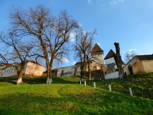 transylvanian-saxons-nature-guide-fortification